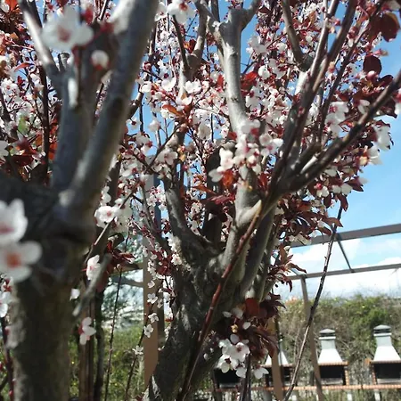 Appartement A17 - Heaven Sun Da Rocha 1 Bed