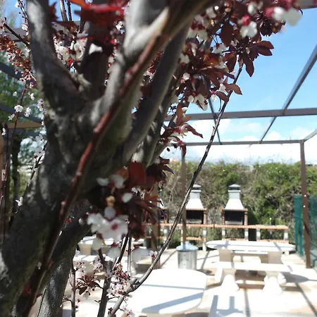 Appartement A17 - Heaven Sun Da Rocha 1 Bed Portimão